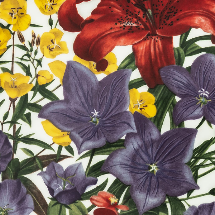 temmuz'da açan çiçekler the flowers of july resmi