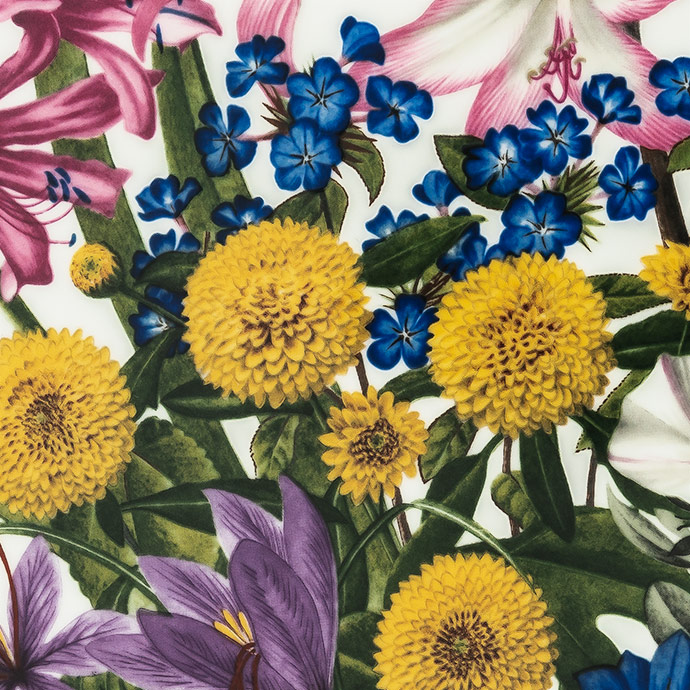 ekim'de açan çiçekler the flowers of october resmi