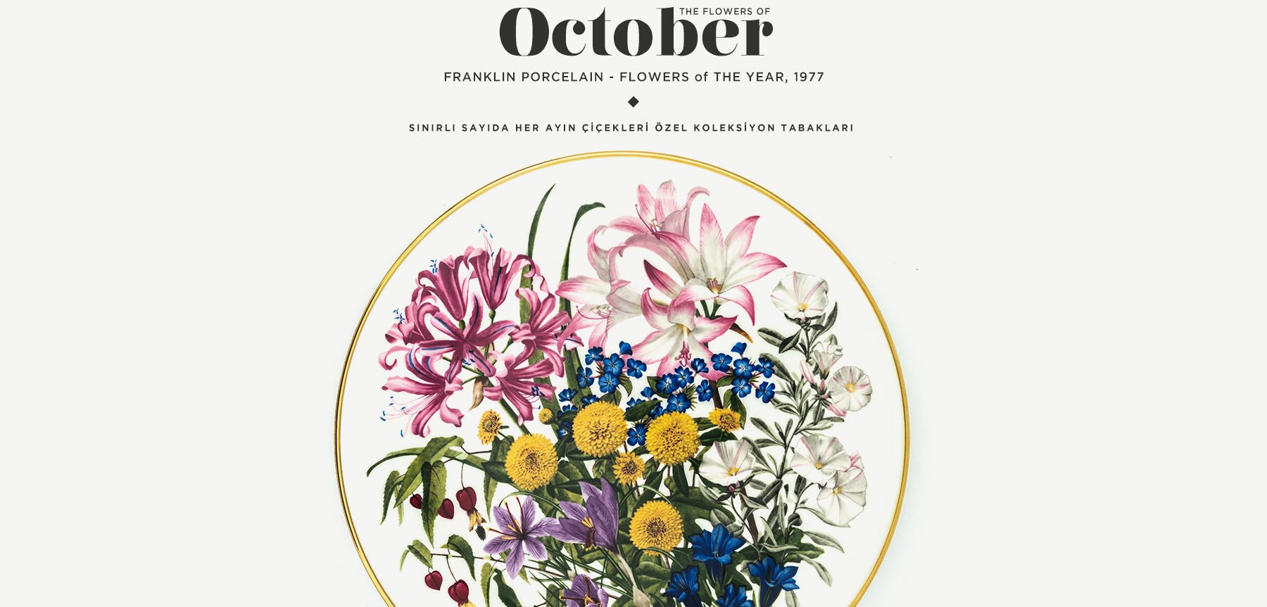ekim'de açan çiçekler the flowers of october resmi