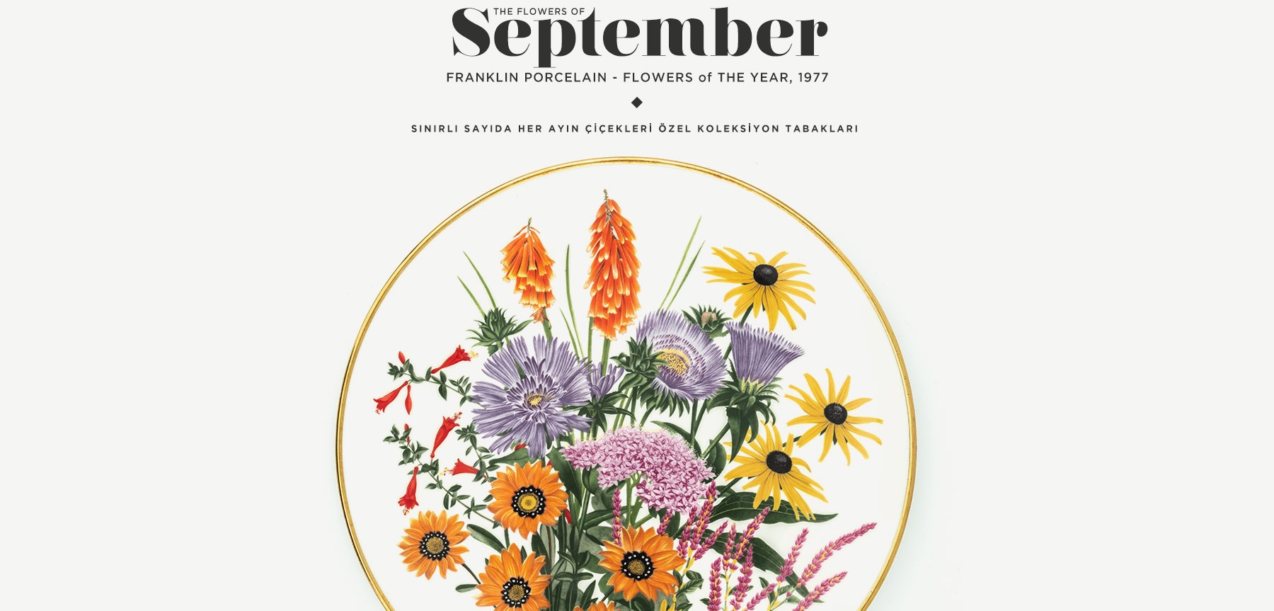 eylül'de açan çiçekler the flowers of september resmi