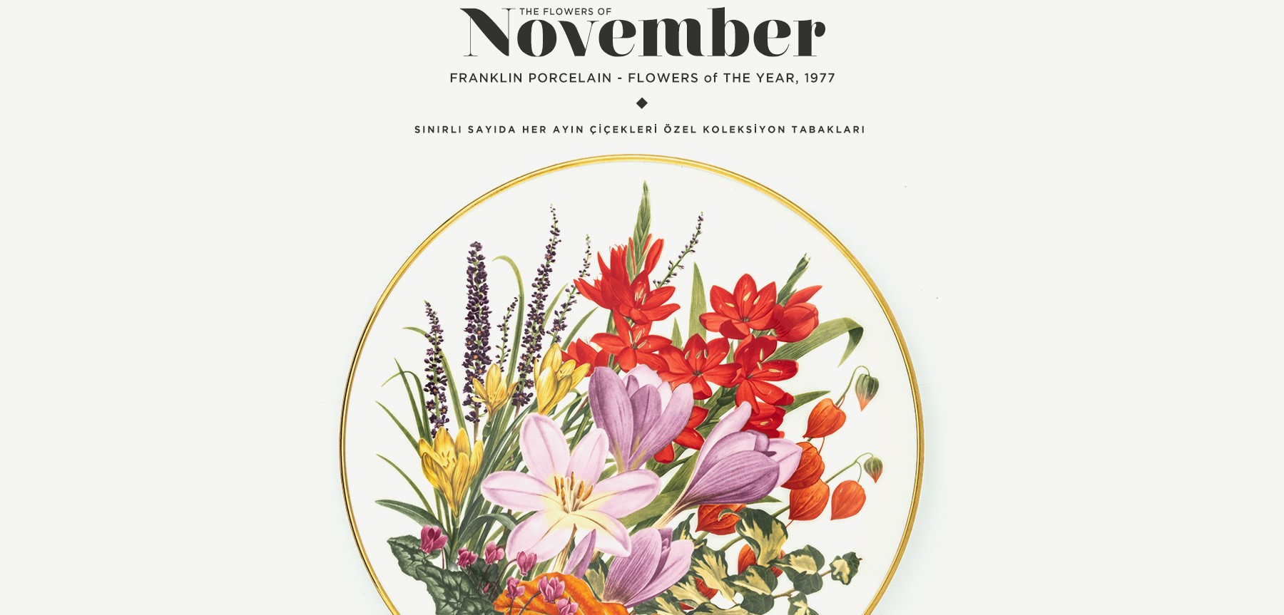 kasım'da açan çiçekler the flowers of november resmi