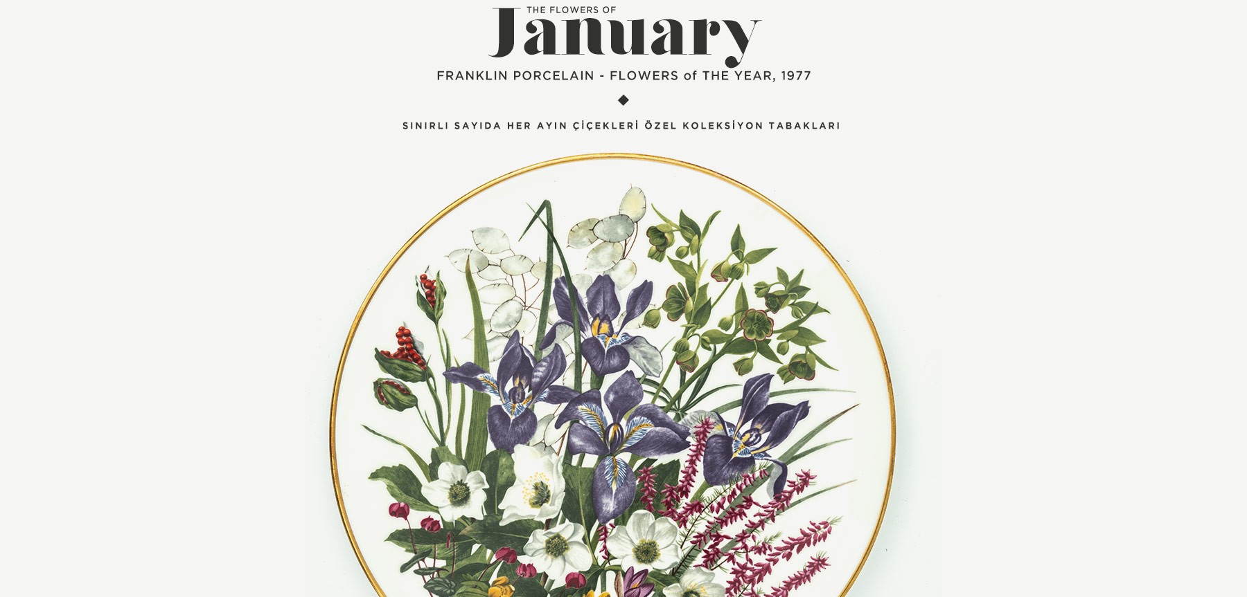 ocak'ta açan çiçekler the flowers of january resmi