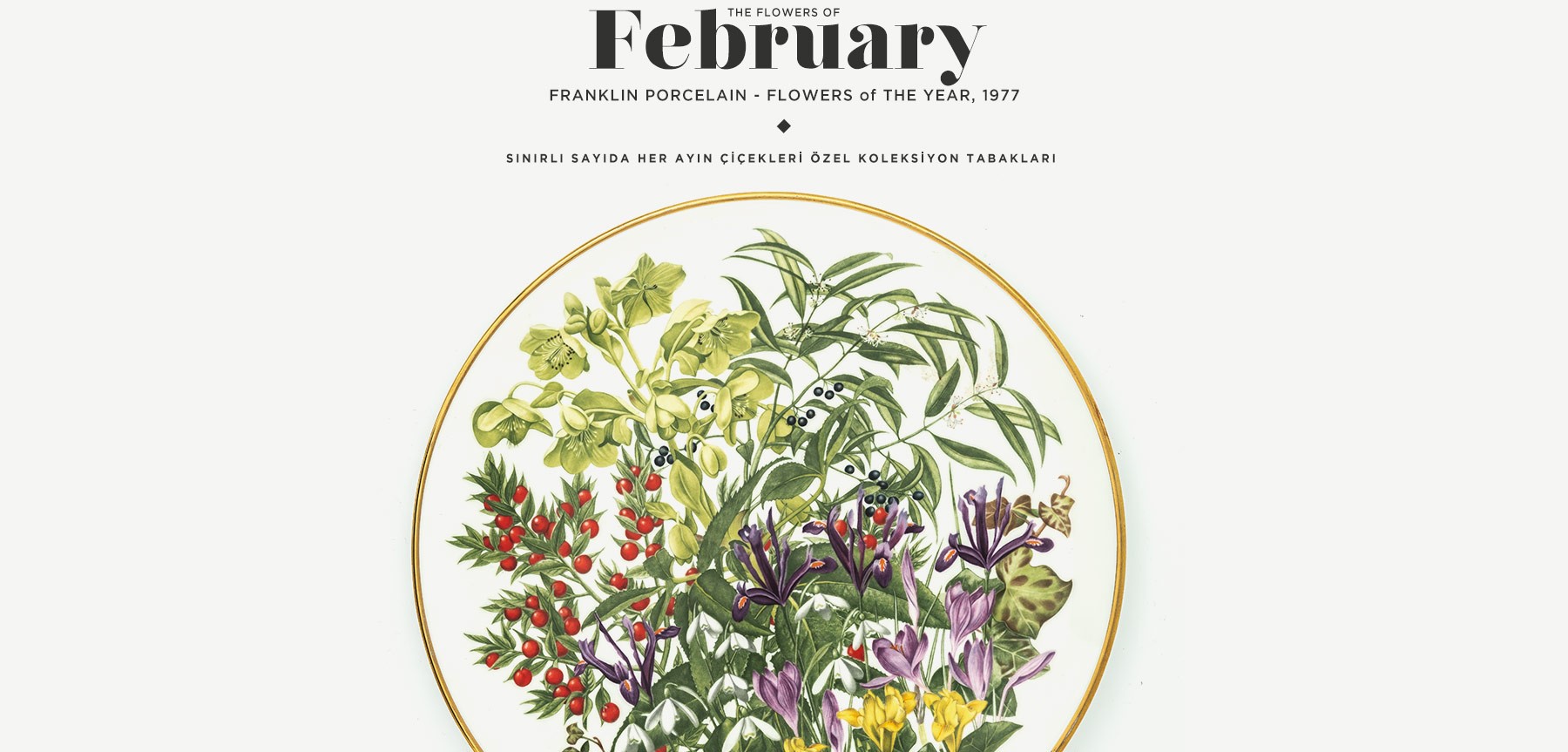 şubat'ta açan çiçekler the flowers of february resmi