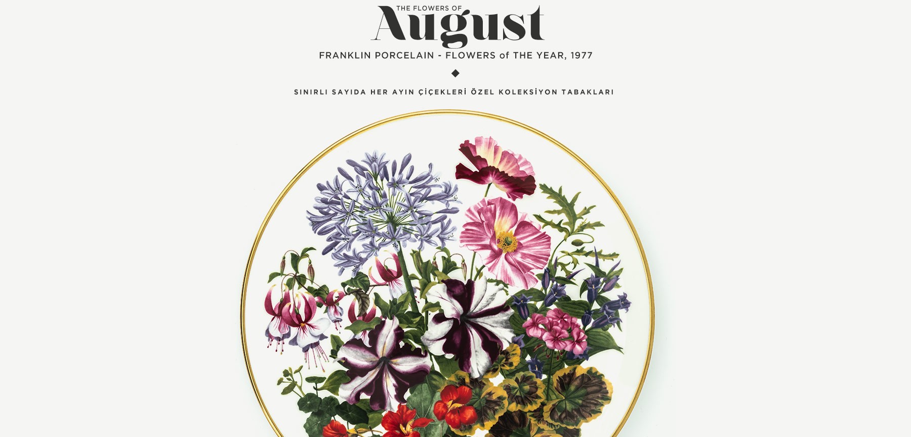 ağustos'ta açan çiçekler the flowers of august resmi