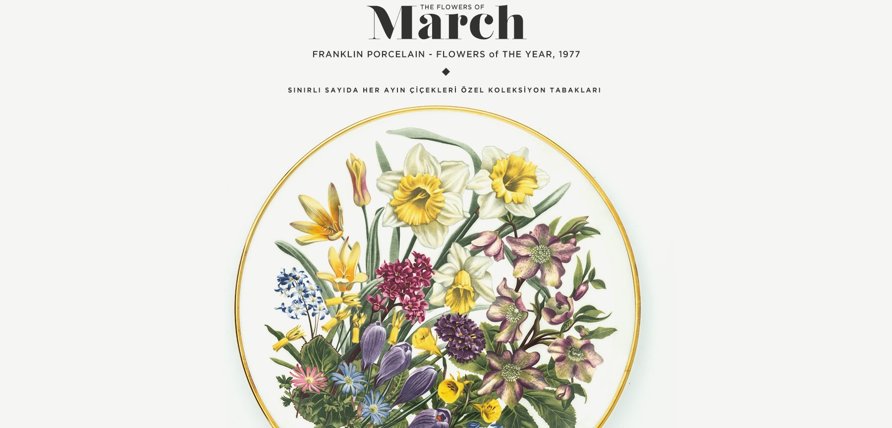 mart'ta açan çiçekler the flowers of march resmi