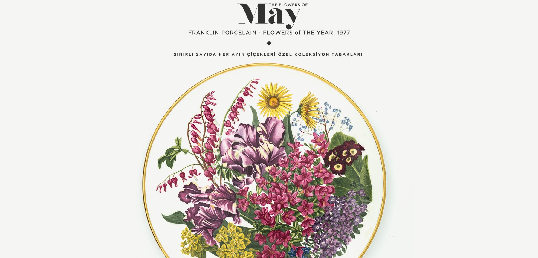 mayıs'ta açan çiçekler the flowers of may resmi